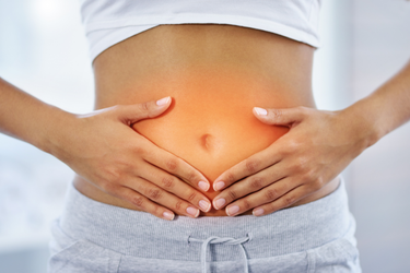 probiotics vs prebiotics