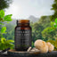 Lion's Mane Supplements