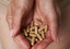 Fish Oil Supplements