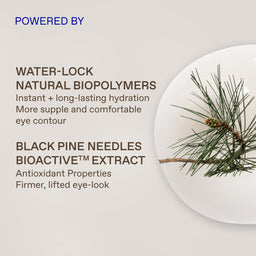 Promotional graphic for an eye contour product featuring text about water-lock natural biopolymers and black pine needles bioactive extract, alongside a close-up photo of a pine branch on a white plate against a light beige background.