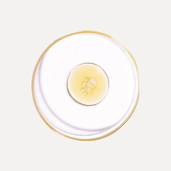 Clear glass plate with gold rim on a white background