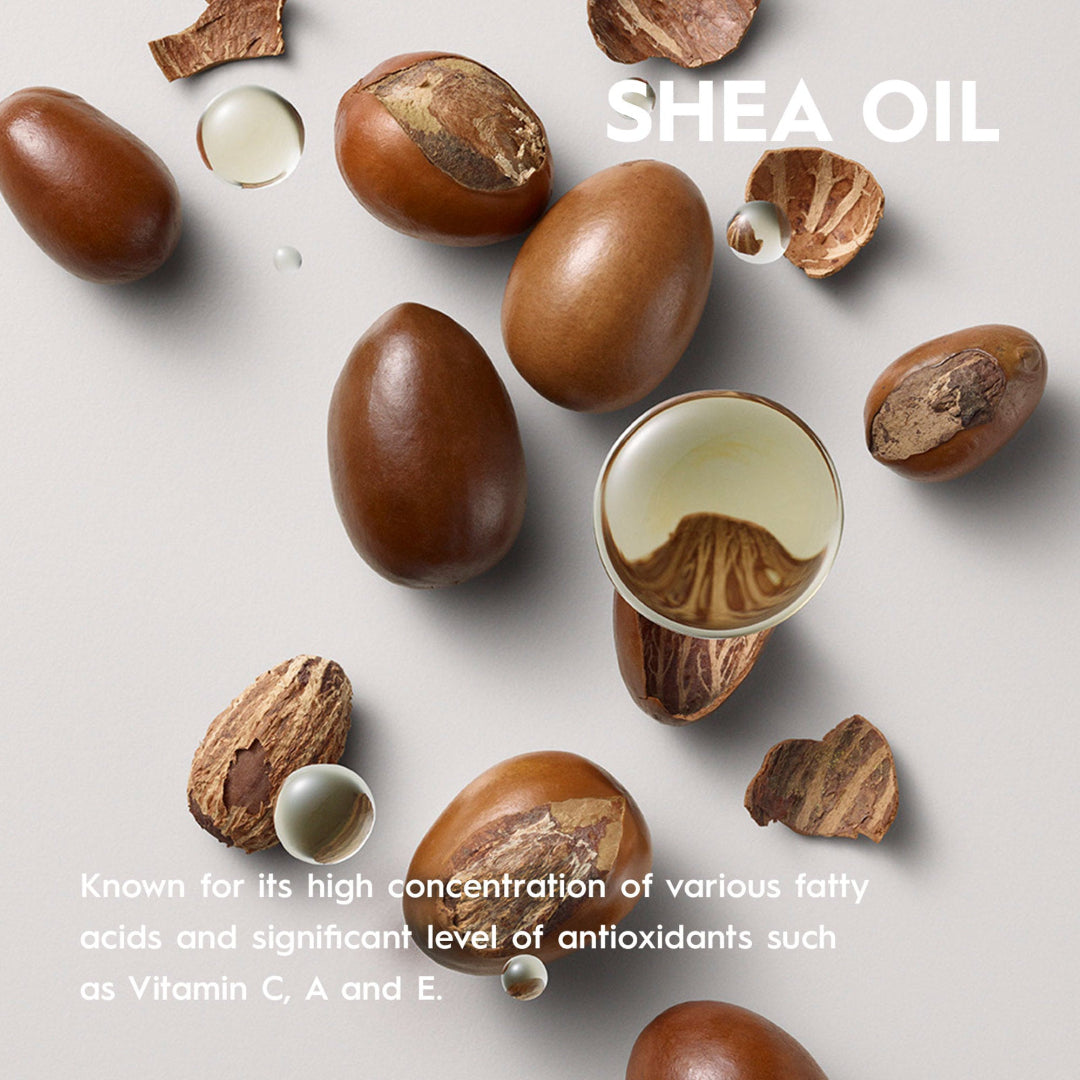 Shea nuts and oil on a light gray background with 'SHEA OIL' text.