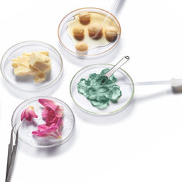 Murad Intense Recovery Cream