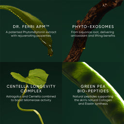 Irene Forte Skincare Phytomelatonin Rejuvenating Eye Cream 15ml