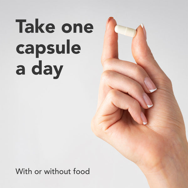 A hand holding a white capsule pill against a light gray background, with the text 'Take one capsule a day' and 'With or without food'.
