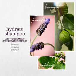 Pureology Hydrate Nourishing Shampoo 1000ml