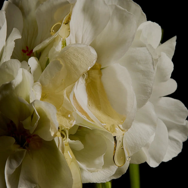 ESPA Soothing Candle 240g