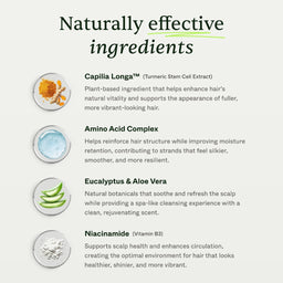 List of naturally effective ingredients with corresponding images and descriptions on a white background.